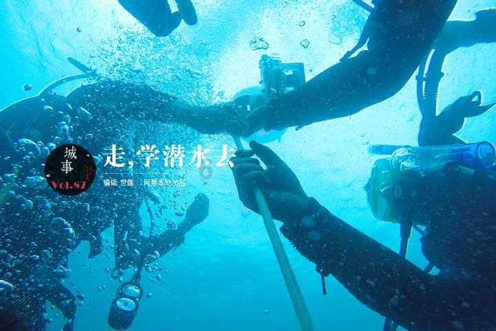 探索京东申请的白条卡和信用卡有什么区别?知识星球,解析无限智慧